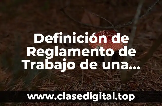 Definición de Reglamento de Trabajo de una Empresa