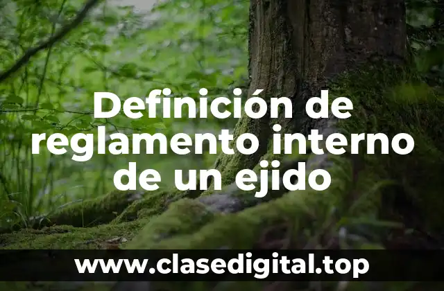 Ejemplos de reglamentos internos de un ejido