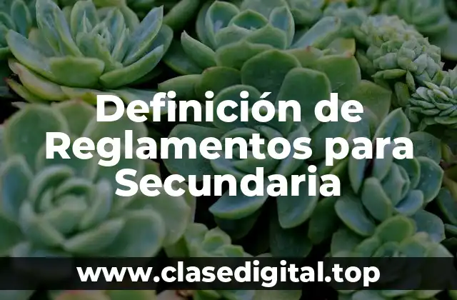 Definición de Reglamentos para Secundaria