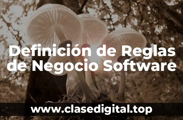 Definición de Reglas de Negocio Software