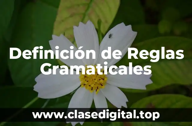 Definición técnica de Reglas Gramaticales