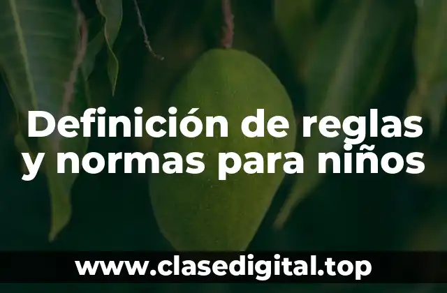 Definición técnica de reglas y normas para niños