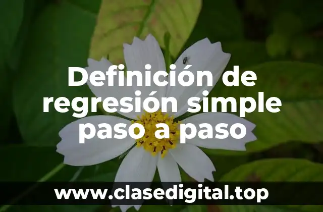 Definición de regresión simple paso a paso