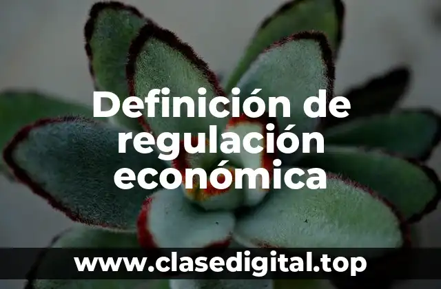 Definición de regulación económica