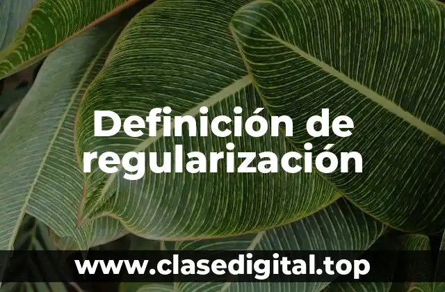 Definición técnica de regularización