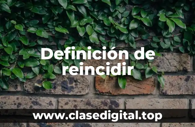 Definición de reincidir