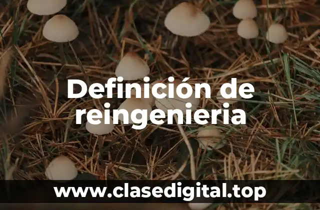 Definición de reingenieria