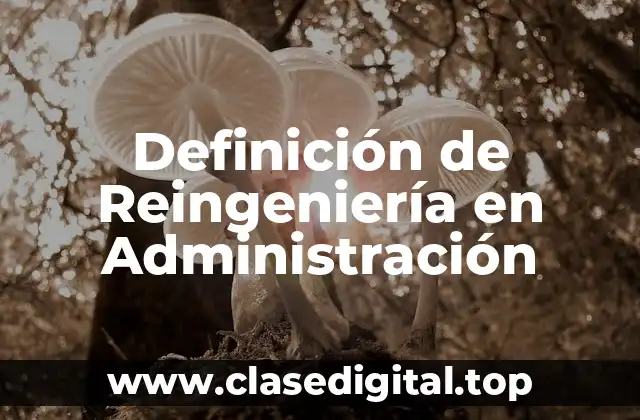 Definición de Reingeniería en Administración
