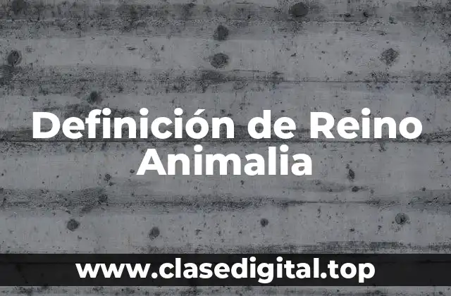 Definición de Reino Animalia