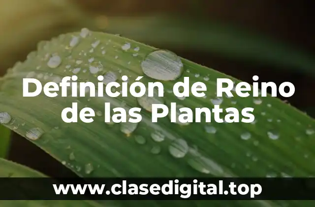 Definición de Reino de las Plantas