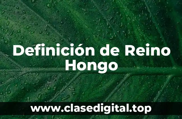 Definición de Reino Hongo