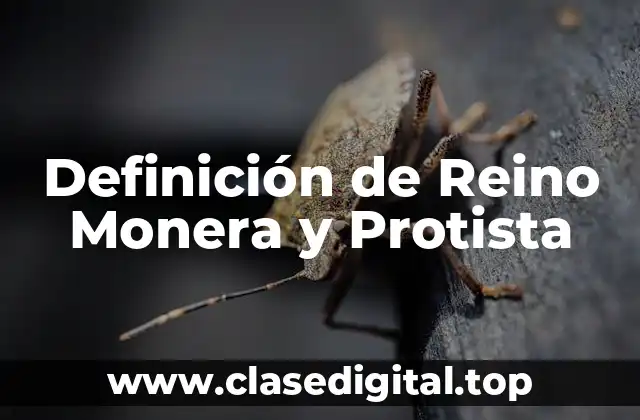 Ejemplos de Reino Monera y Protista