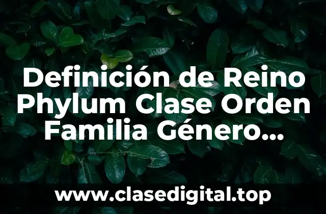Definición técnica de Reino Phylum Clase Orden Familia Género Especie