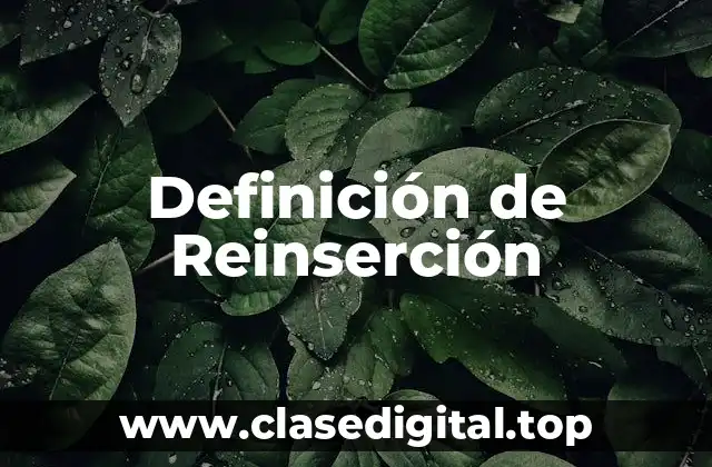 Definición de Reinserción