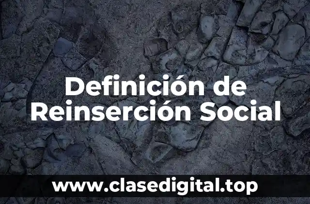 Definición Técnica de Reinserción Social