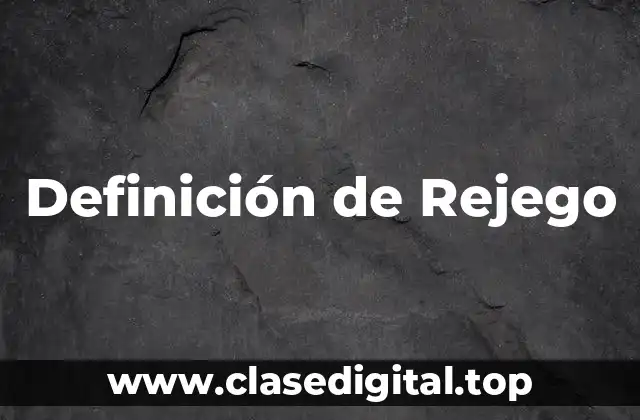 Definición de Rejego