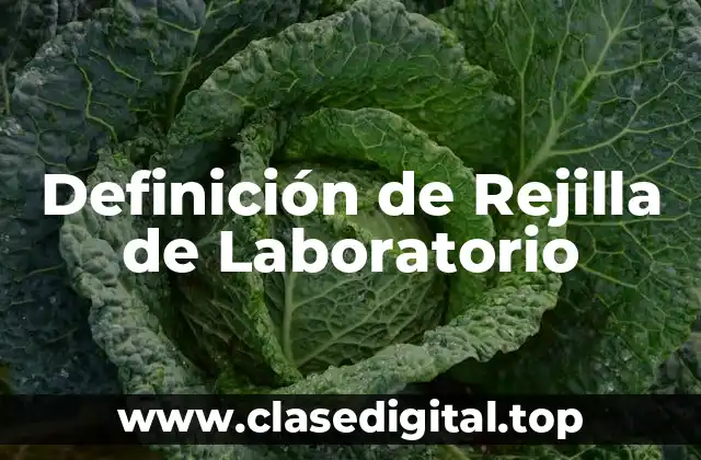 Definición de Rejilla de Laboratorio