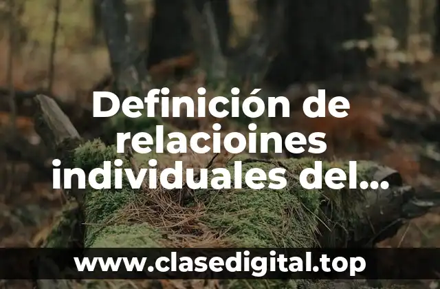 Definición de relacioines individuales del trabajo