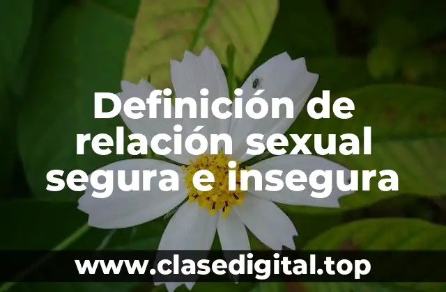 Definición de relación sexual segura e insegura