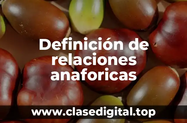 Definición de relaciones anaforicas
