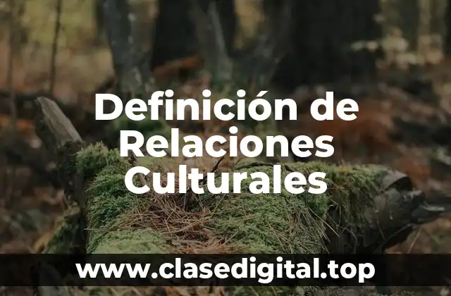 Definición de Relaciones Culturales
