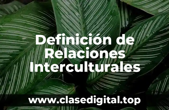 Definición de Relaciones Interculturales