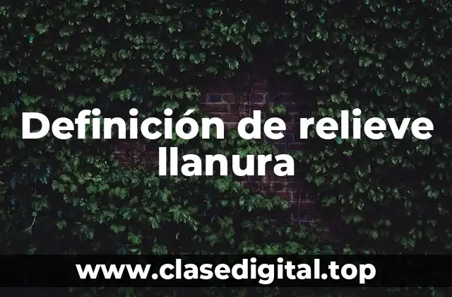 Definición de relieve llanura