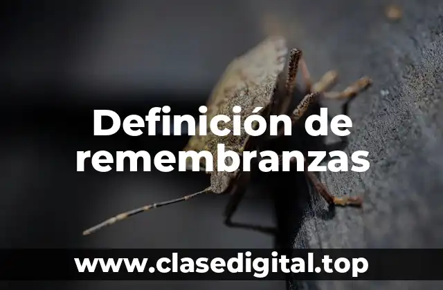 Ejemplos de remembranzas