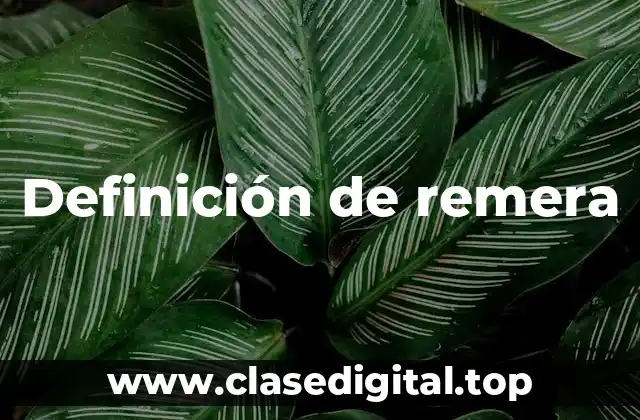 Definición de remera