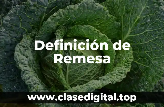 Definición de Remesa