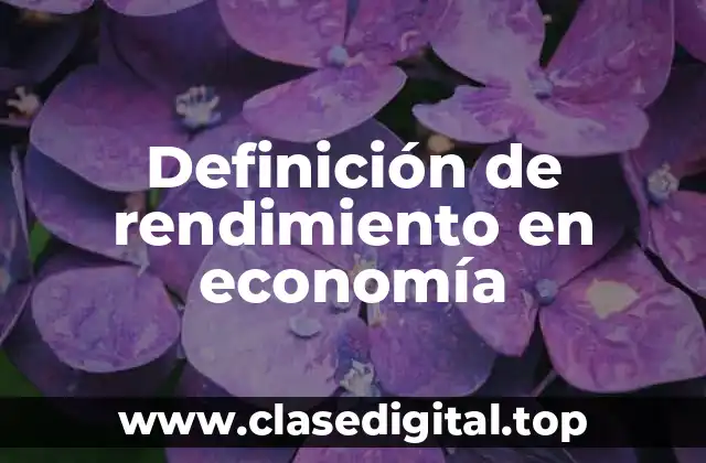 Definición de rendimiento en economía
