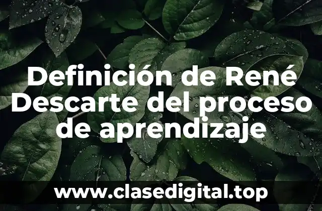Definición de René Descarte del proceso de aprendizaje