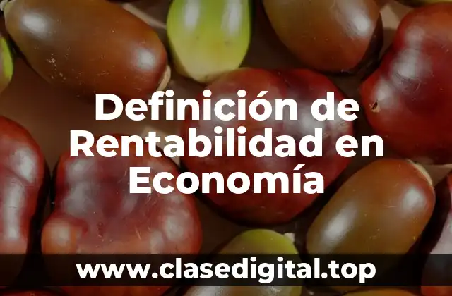 Definición de Rentabilidad en Economía