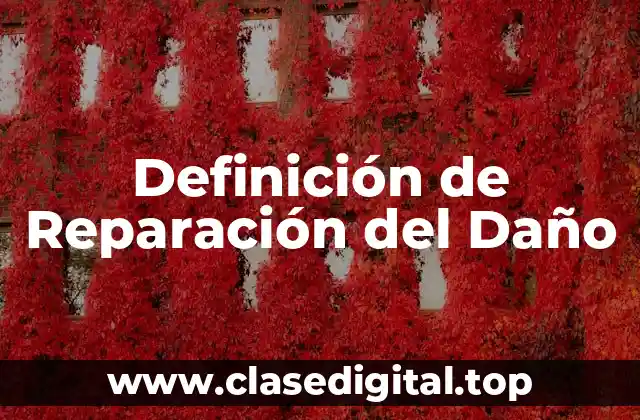 Definición de Reparación del Daño