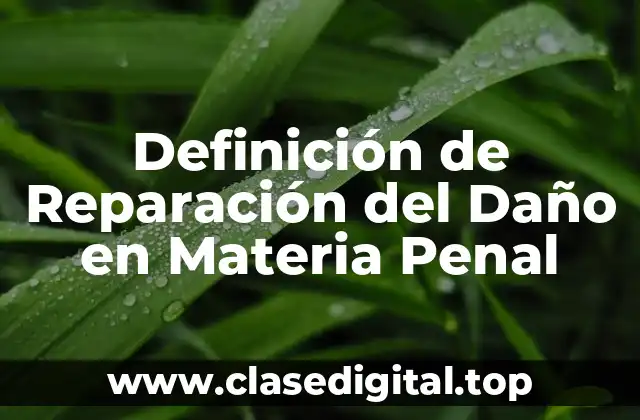 Definición Técnica de Reparación del Daño en Materia Penal