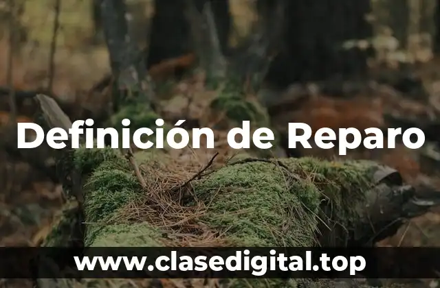 Definición de Reparo