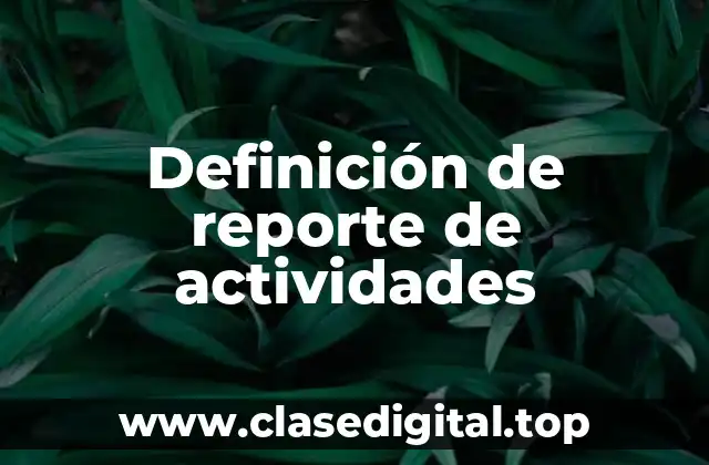 Definición de reporte de actividades