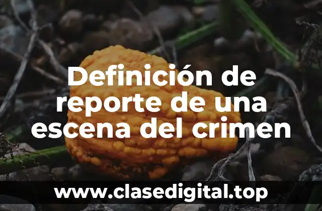 Definición de reporte de una escena del crimen