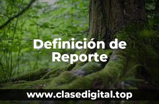Definición de Reporte