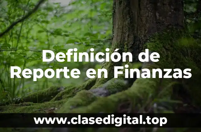 Definición de Reporte en Finanzas
