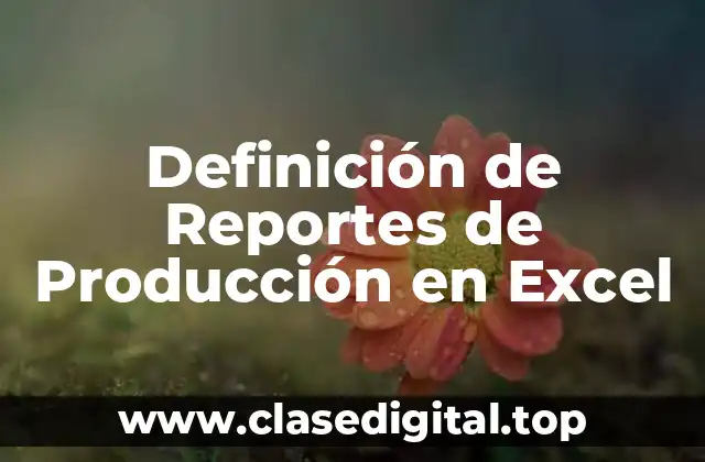 Definición de Reportes de Producción en Excel