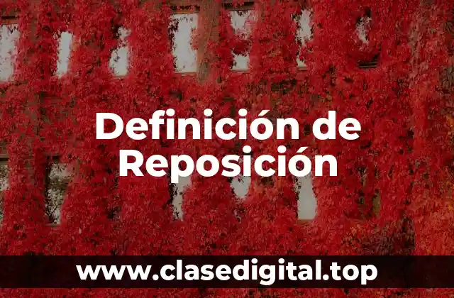 Definición técnica de Reposición