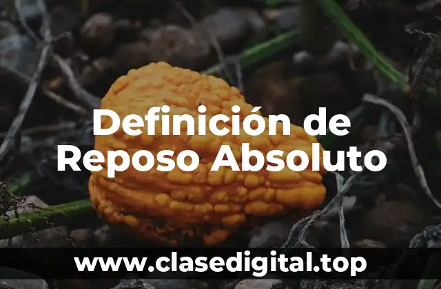 Definición de Reposo Absoluto