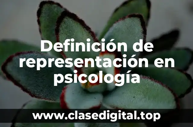 Definición de representación en psicología