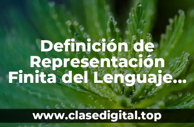 Definición de Representación Finita del Lenguaje en Informática