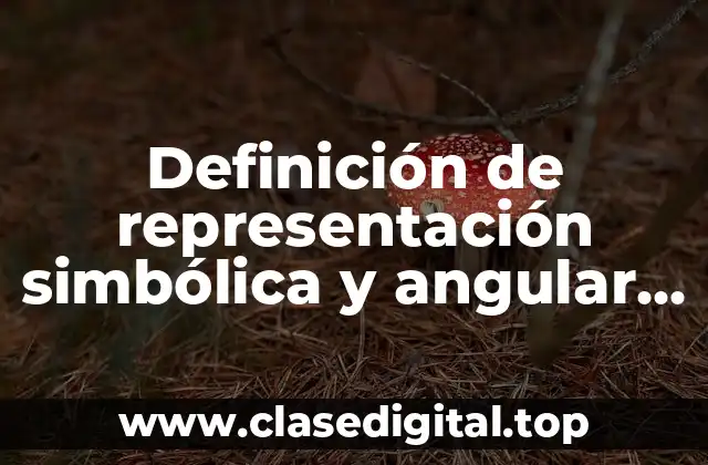 Definición de representación simbólica y angular del entorno