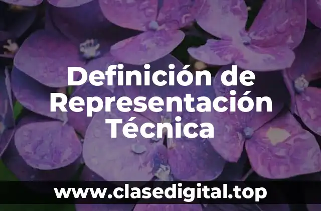 Definición de Representación Técnica