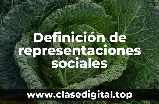 Definición de representaciones sociales