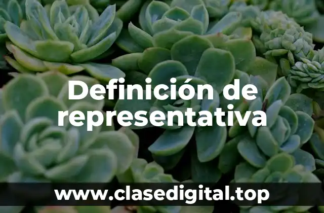 Definición técnica de representativa