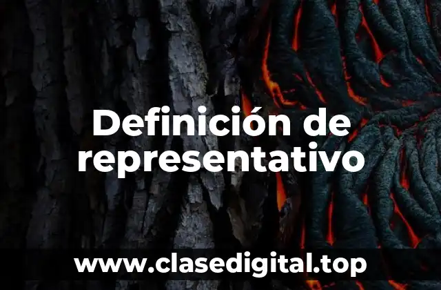 Definición de representativo